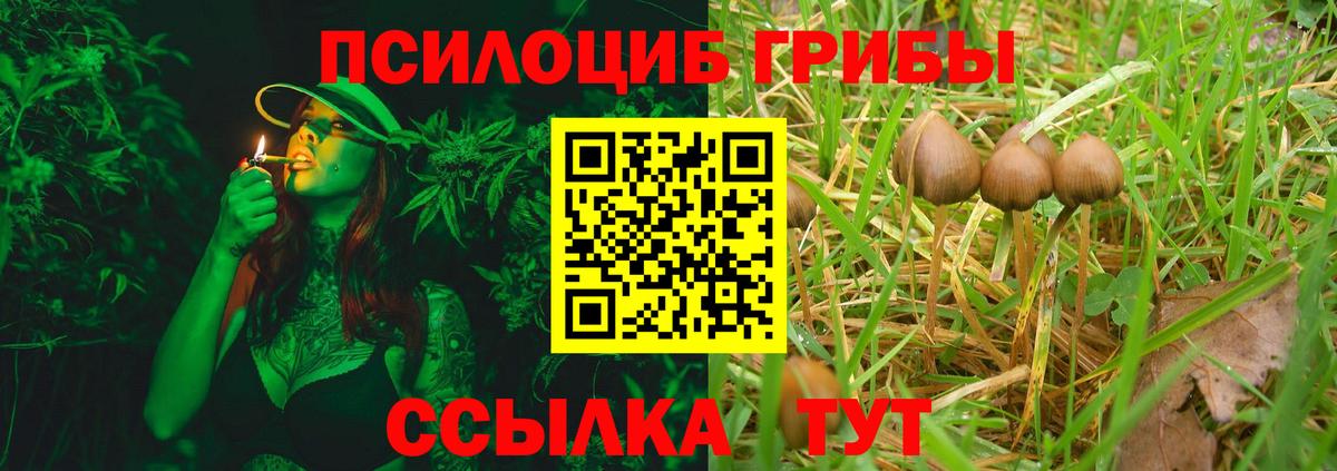Карасук  цена наркотик  Вход с VPN  Галлюциногенные грибы Psilocybine cubensis 
